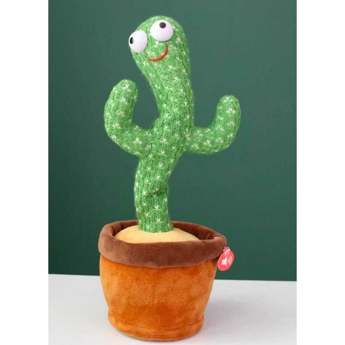 elefantenohr gartenpflanze Elefantenohr | kaufen main image 1